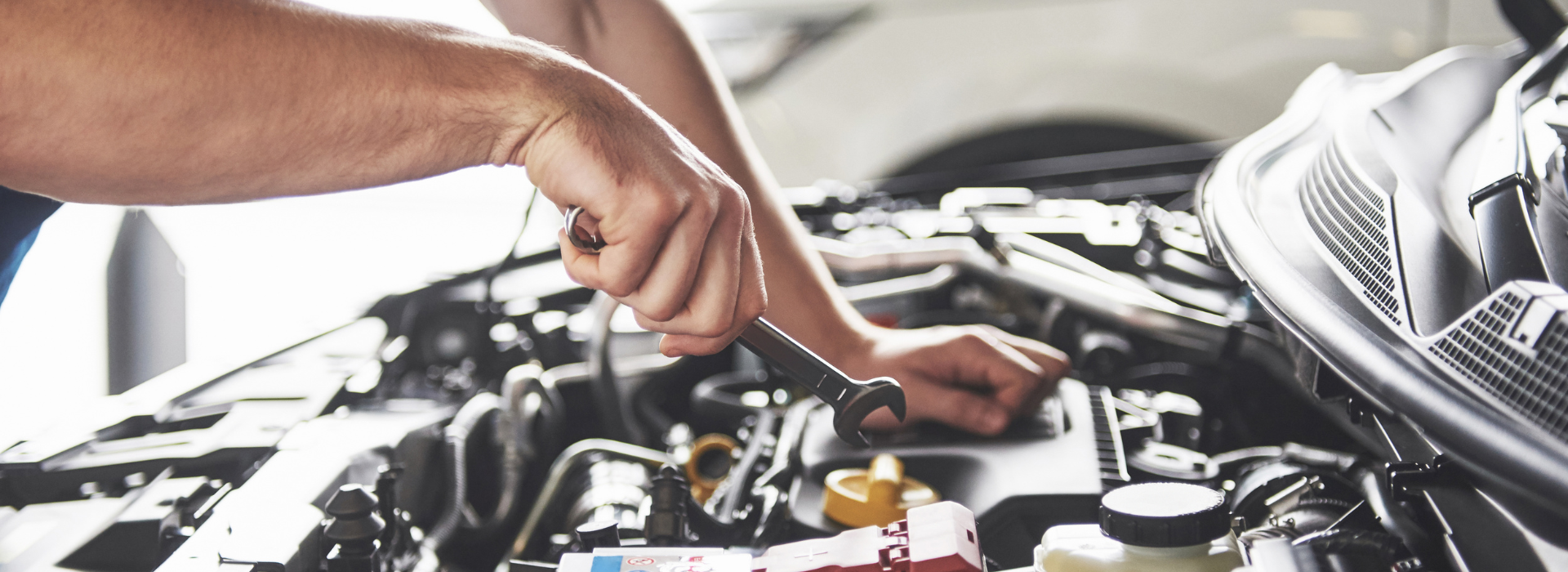 Diseño sin título (64)